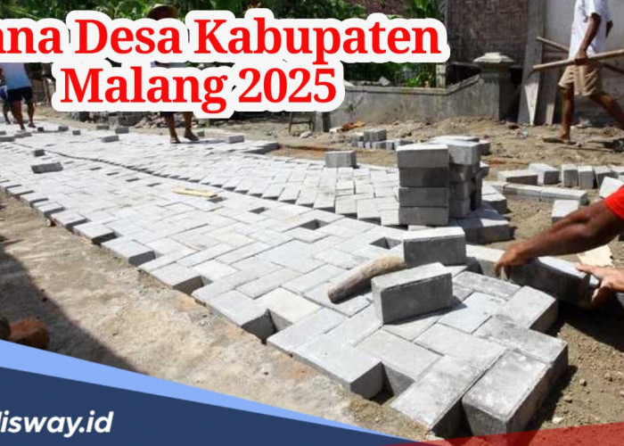 Rincian Dana Desa Kabupaten Malang 2025 untuk 378 Desa, Desamu Kebagian Berapa? 