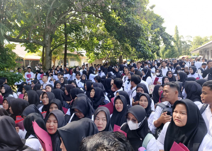 BKPSDM Bengkulu Utara ‘Dikepung’ Ribuan Calon PPPK Paruh Waktu