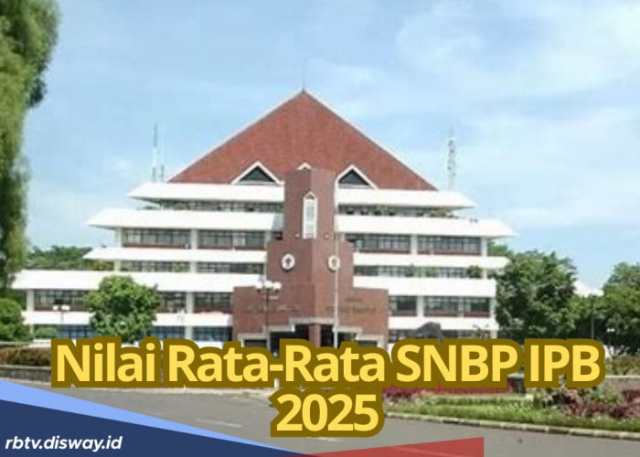 Cek Nilai Rata-rata SNBP IPB Tahun 2025, Berapa Skor Jurusan Pilihanmu? 