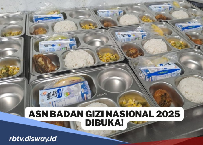 Kesempatan Emas Jadi ASN, Ini Syarat Daftar SPPI 2025 Badan Gizi Nasional 