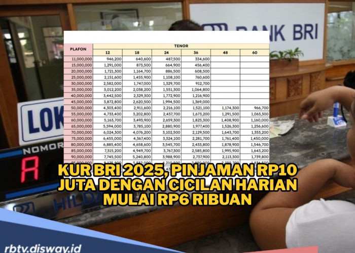 Pinjaman KUR BRI 2025 Rp10 Juta Cicilan Harian Mulai Rp6 Ribuan, Solusi Modal Usaha Tanpa Beban Berat