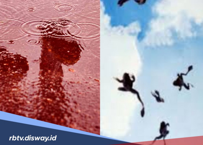 Pandangan Al Quran tentang Hujan Katak di Brazil hingga Hujan Darah di India 