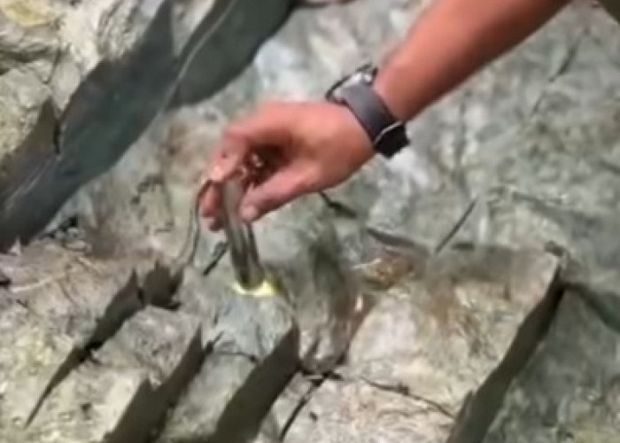 Penemuan Batu Giok Raksasa di Hutan Beutong Aceh, Beratnya Bikin Kaget Warga