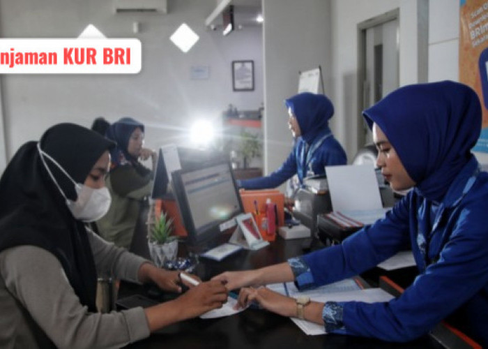 Kuota KUR BRI November 2024 Masih Tersedia, Cek Simulasi Cicilan Pinjaman Rp 100 Juta