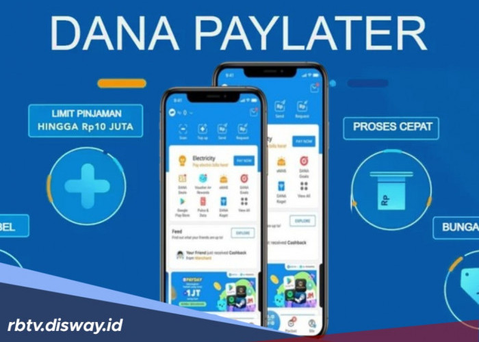 Jarang Disadari, Tapi Ini 4 Penyebab DANA PayLater Tidak Muncul