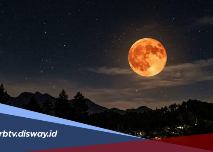 Ada Fenomena Hunter's Moon Malam Ini, Catat Waktu Terbaik Menyaksikannya