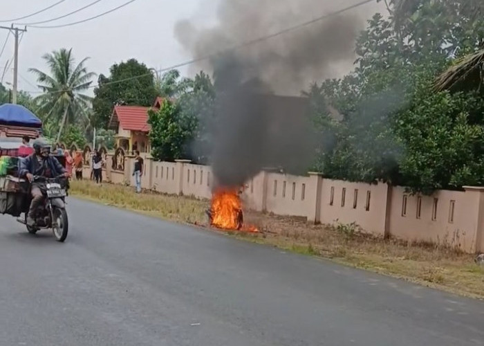Pemilik Motor Matic yang Ludes Terbakar di Seluma Akhirnya Terkuak, Ini Sosok Pemiliknya