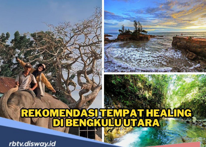 10 Lokasi Healing di Bengkulu Utara untuk Menikmati Libur Natal dan Tahun Baru Bersama Keluarga