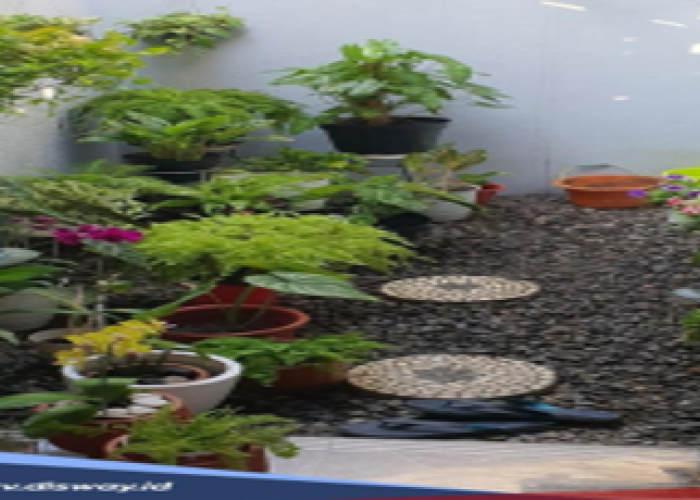 Rumah Minimalis tapi Mau Bikin Taman? Ini Referensi Kekinian yang Cocok untuk Rumah Anda