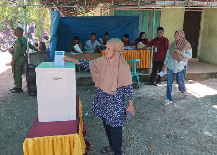 Pilkades Tuntas, Berikut 19 Calon Kades di Bengkulu Tengah Peraih Suara Terbanyak