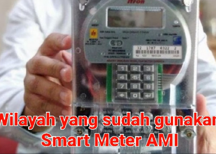 8 Wilayah Ini Sudah Gunakan Smart Meter AMI, Biaya Penggantian Segini
