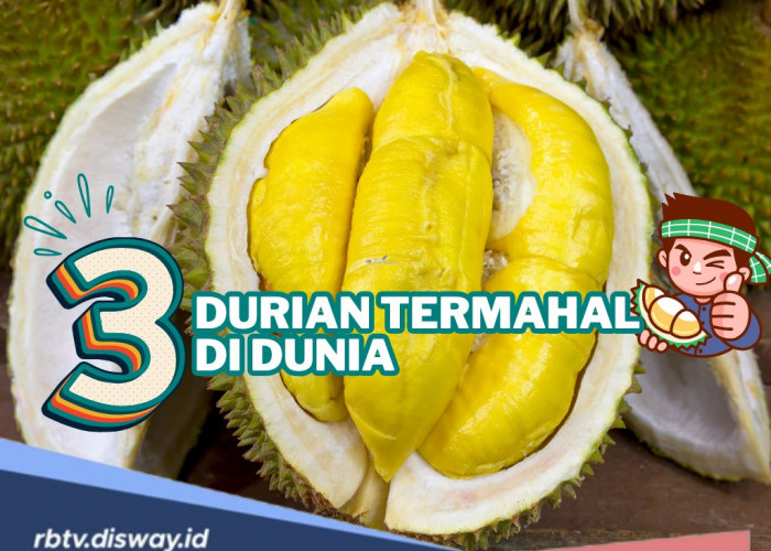 3 Durian Termahal di Dunia, Ada yang Harganya hingga Rp 676 Juta Per Buah