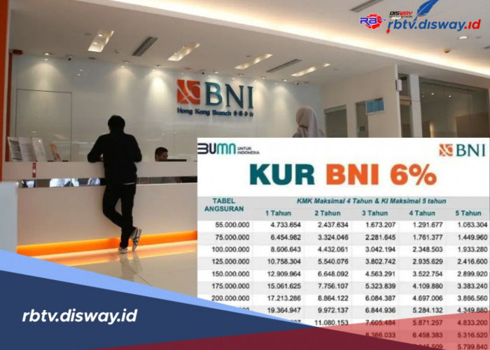 KUR BNI 2025 Tanpa Jaminan, Akses Pendanaan dengan Cicilan Ringan 