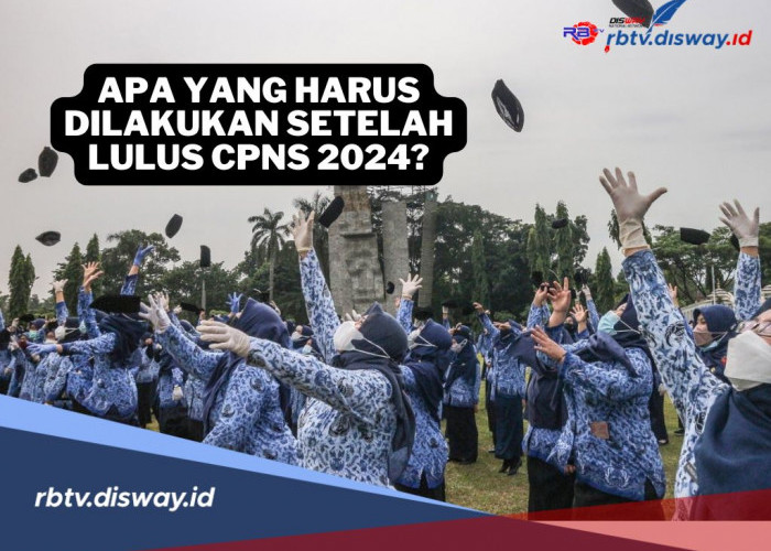 Apa yang Harus Dilakukan Setelah Lulus CPNS 2024? Berikut Tahapan Penting Harus Diikuti