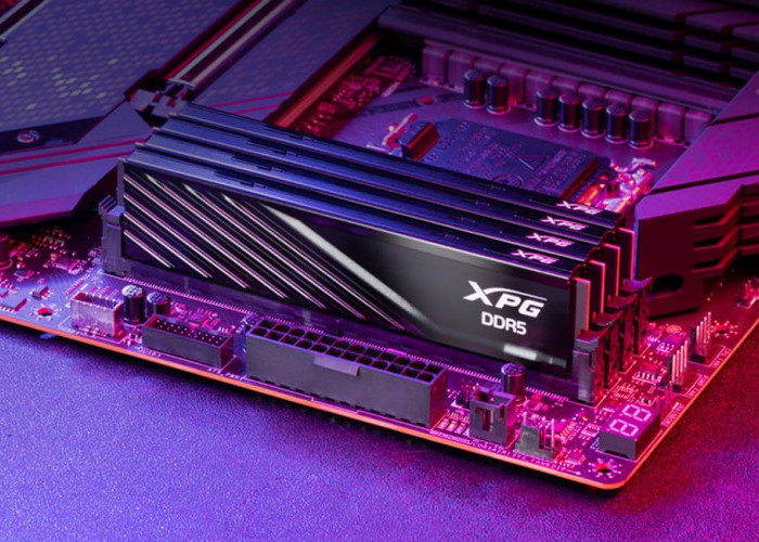 Semakin Populer, Begini Spesifikasi RAM DDR5