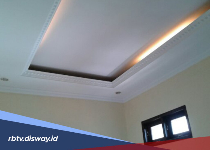 Plafon Gypsum atau Triplek? Mana yang Lebih Bagus dan Murah?