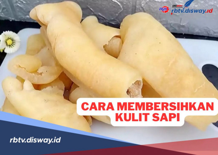 4 Cara Mudah Membersihkan Kulit Sapi dari Bulunya, Ibu-ibu Harus Coba