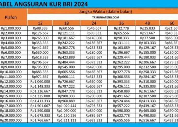 Tabel Angsuran KUR BRI 2024 Pinjaman Rp 10 Juta-Rp 100 Juta, Update Ketentuan KUR BRI 2024