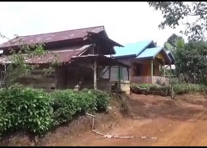 Gunakan Jaringan Listrik Ilegal, 41 KK Desa Tanjung Kemenyan Didenda Rp 260 Juta