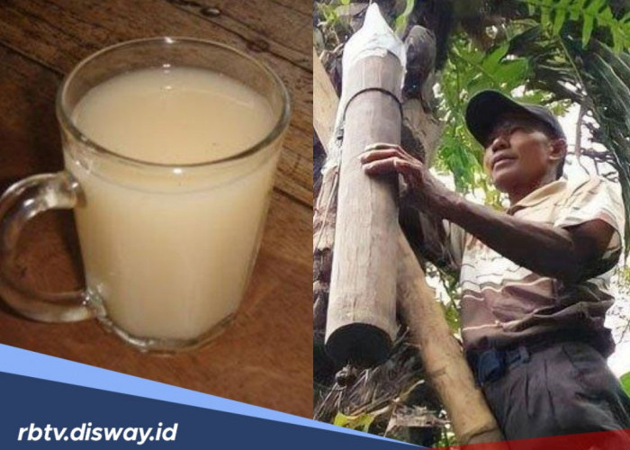 8 Efek Minum Tuak terhadap Kesehatan, Nomor Dua Banyak yang Belum Tahu!