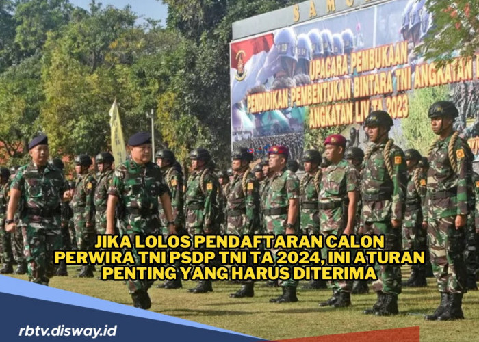 Jika Lolos Pendaftaran Calon Perwira TNI PSDP TA 2024, Ini Aturan Penting yang Harus Diterima