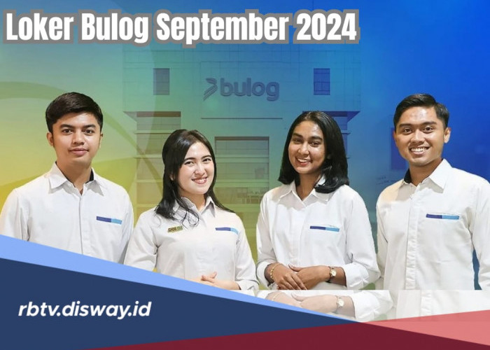 Lowongan Kerja Bulog September 2024 untuk Lulusan SMA dan SMK, Cek Kualifikasi serta Cara Daftarnya