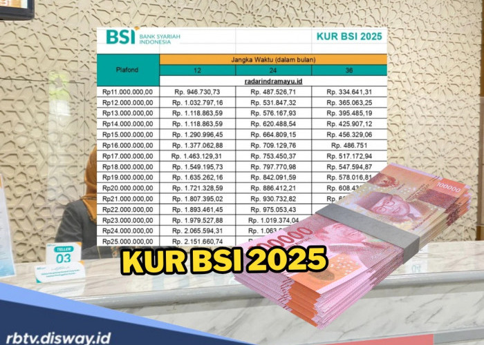 KUR BSI Rp 20 Juta, Pinjaman Anti Riba dan Tenor 36 Bulan, Tertarik Ajukan?