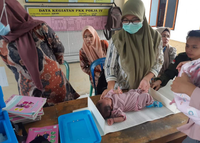 Balai Seni Disegel, Pelayanan Posyandu Desa Dusun Baru Terpaksa Pindah ke Puskesmas Ilir Talo
