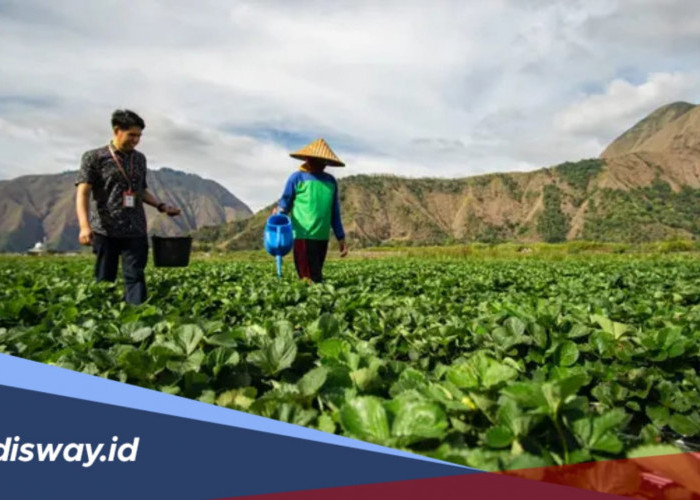Ini Sederet Keunggulan KUR BRI, Cek Syarat Pengajuannya
