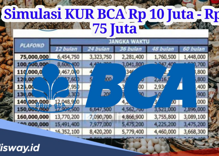 Rincian Lengkap Simulasi Cicilan KUR BCA Pinjaman Rp10 Juta-Rp 75 Juta, Cek Syarat Pengajuan Terbaru