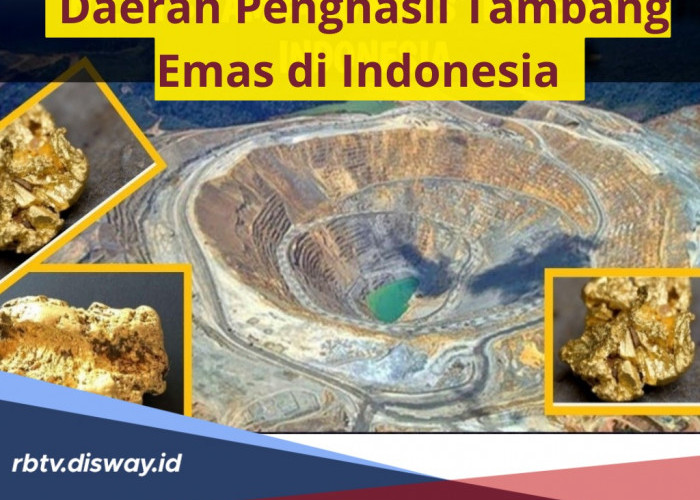 Daftar 8 Daerah Penghasil Tambang Emas di Indonesia, Bisa Hasilkan 48 Ton Emas per Tahun