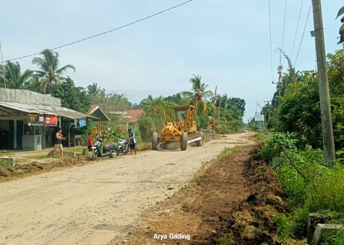 Belum Disentuh, Warga Bangun Jalan Link Kabupaten di Desa Kungkai Baru-Tawang Rejo Seluma Secara Swadaya