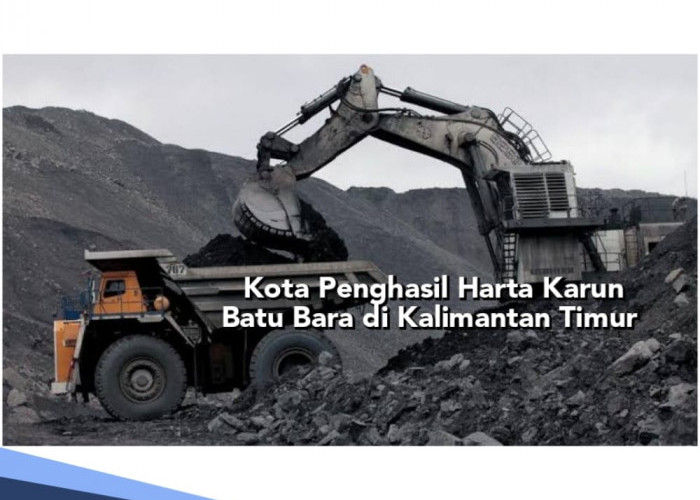 Ini Kota di Kalimantan Timur Penghasil Harta Karun Batu Bara, Mampu Hasilkan 82 Ton