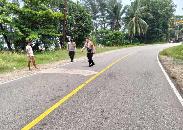 Motor dan Mobil Pick Up Adu Kambing di Air Rami, Pelajar 16 Tahun Meninggal Dunia