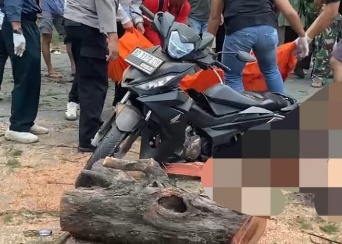 Angin Kencang, 3 Pengendara Motor Tertimpa Pohon, 1 Meninggal Dunia, Ini Identitasnya