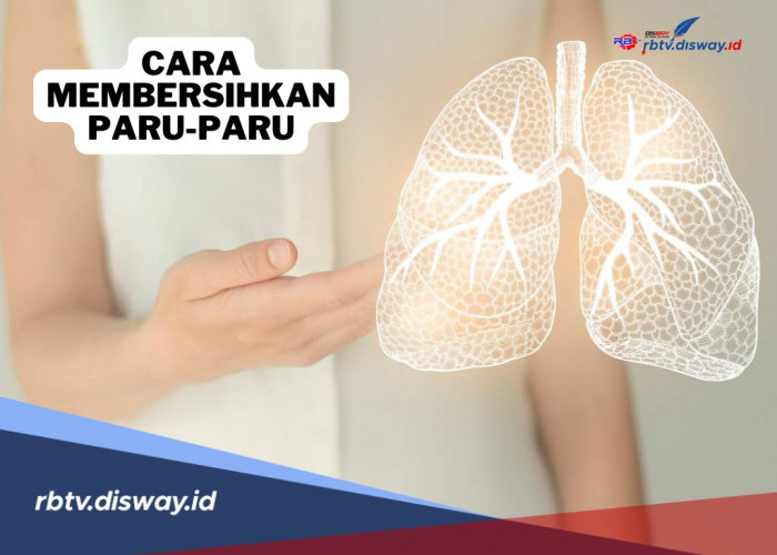 5 Cara Membersihkan Paru-paru Secara Alami, Mudah Dilakukan!