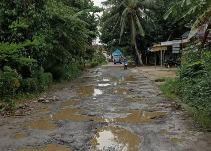 Tabel Dana Desa Kabupaten Padang Lawas Utara Tahun Ini, Utamakan Pembangunan Infrastruktur 