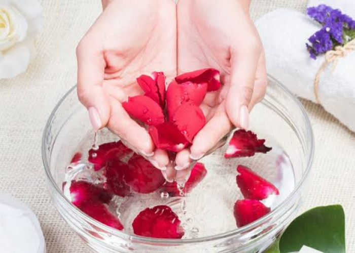 10 Manfaat Rebusan Kelopak Bunga Mawar, Kandungannya Cegah Penuaan Dini