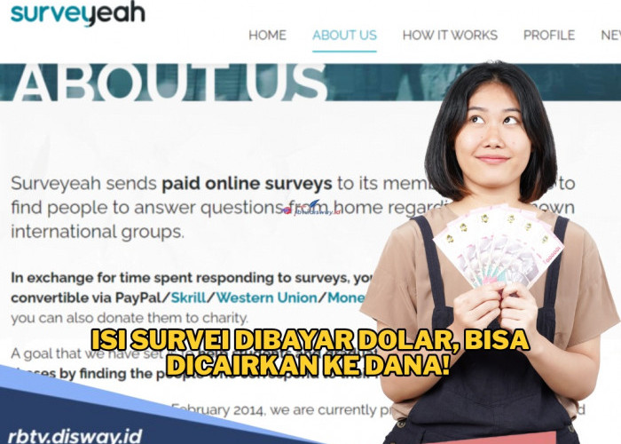 Isi survei lalu dapatkan dolar, caranya mudah 