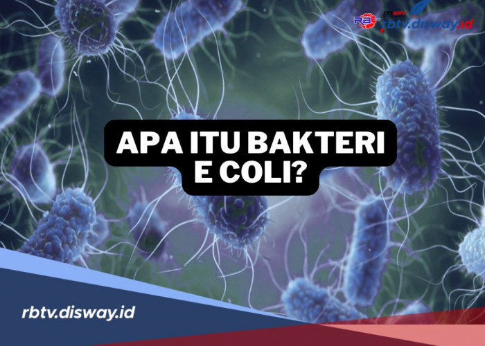 Apa Itu Bakteri E.Coli? Kenali Gejala dan Cara Pencegahannya