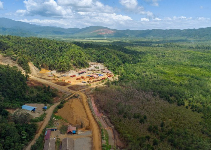 Nggak Main-main, Ekonomi Maluku Utara di Topang dari Harta Karun Ini 