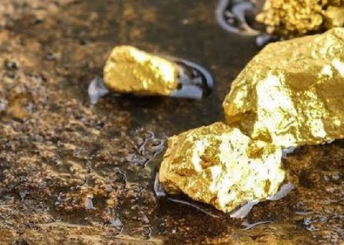 Aceh Simpan Harta Karun Emas yang Dikerjakan Sarjana Dari Persia, Dekat Dari Bekas Istana Raja Peureulak