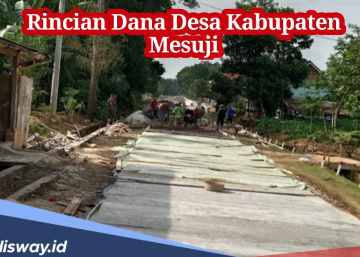 Masyarakat Desa Sejahtera, Simak Rincian Dana Desa Kabupaten Mesuji 2024