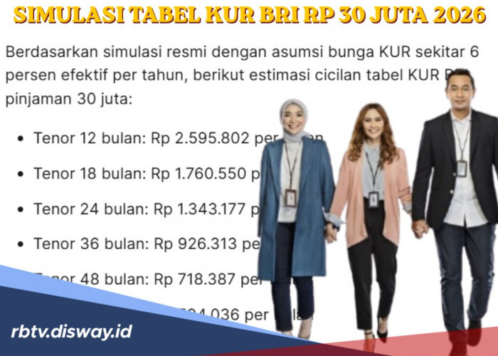 Jenis Usaha yang Pasti Dapat Modal Pinjaman via KUR BRI 2026 Sebesar Rp 30 Juta