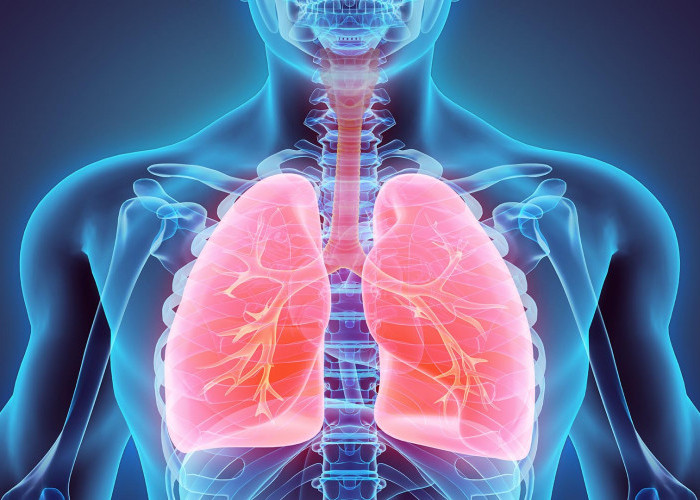 Jangan Dianggap Remeh, 7 Penyakit Ini Dapat Menyerang Paru-paru, Perhatikan Sebelum Menyesal