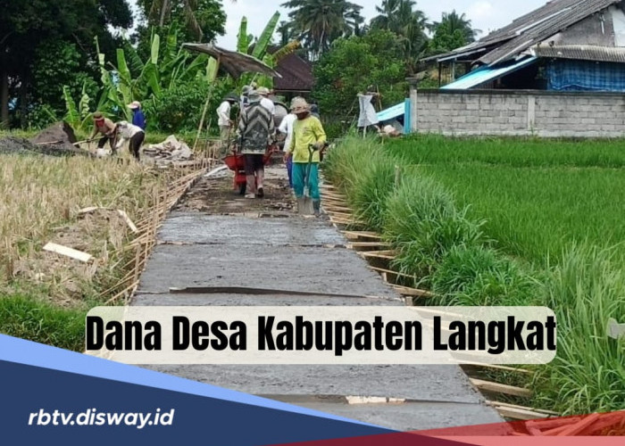 Dana Desa Kabupaten Langkat Tahun 2025, Cek Rincian Kucuran untuk 240 Desa, Siapa Terendah?