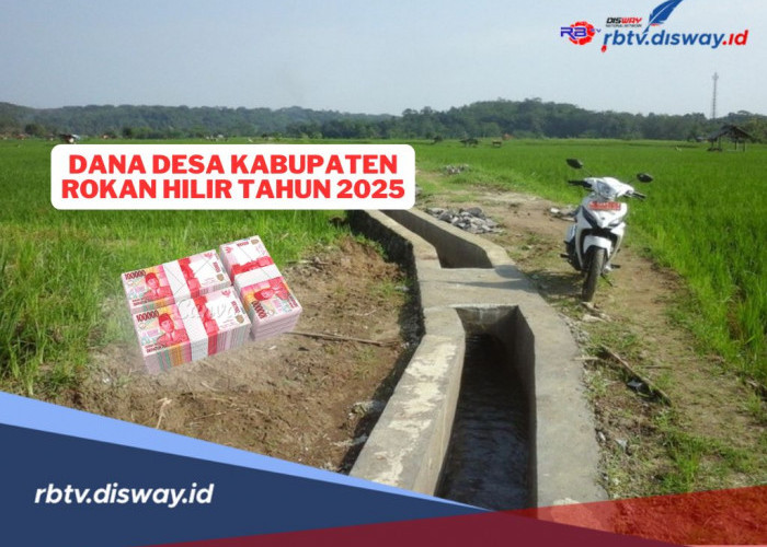 Rincian Dana Desa di Kabupaten Rokan Hilir Tahun 2025, Rata-rata Terima Anggaran Segini 