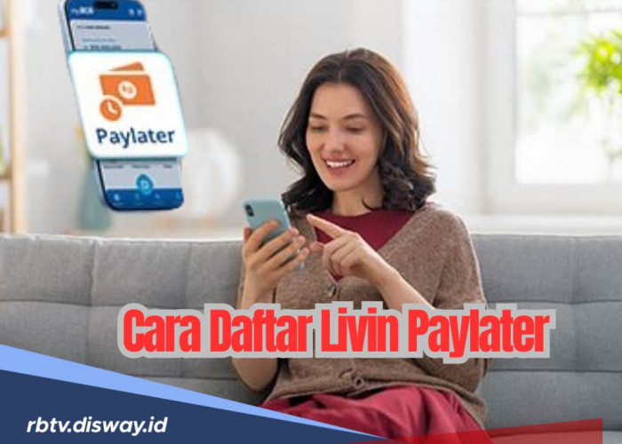 Cara Daftar Livin’ Paylater Bank Mandiri, Limit Rp20 Juta Tenor Angsuran 12 Bulan