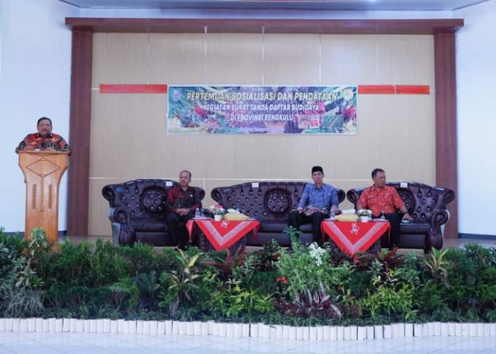Tahun Ini Pemkab Bengkulu Utara Terbitkan 400 STD-B Kelapa Sawit, Setara 700 Hektare