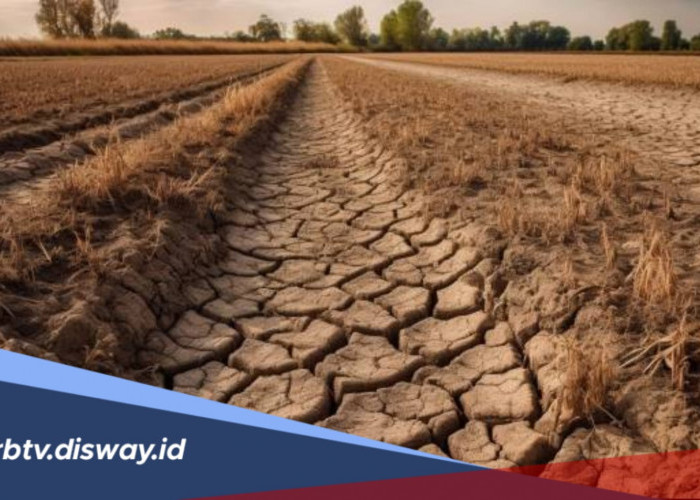 Kekeringan Mengintai RI, Ini Daftar Wilayah Berstatus 'Awas'